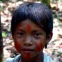 A l'origine, les Indiens d'Amazonie l'utilisent pour se protéger du soleil et des moustiques en l'appliquant directement sur la peau, d'où l'appellation de « peaux rouges ».