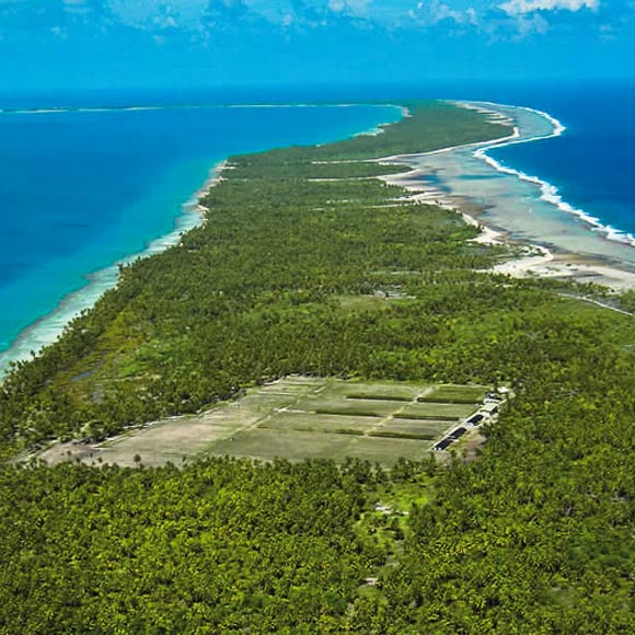 Les Cannes à Sucre Otaïti poussent sur le sol de l'atoll de Rangiroa